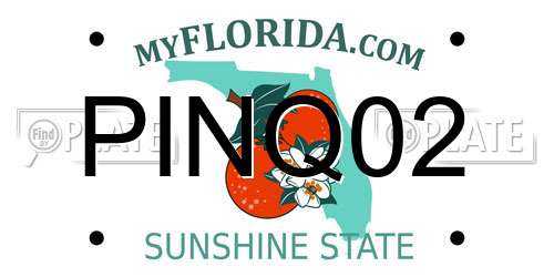 PINQ02 Florida License Plate