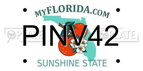 PINV42 Florida License Plate