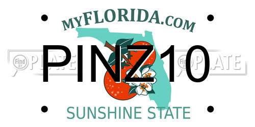 PINZ10 Florida License Plate