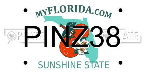 PINZ38 Florida License Plate