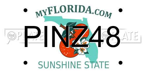 PINZ48 Florida License Plate