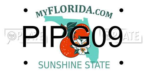 PIPG09 Florida License Plate