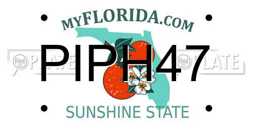 PIPH47 Florida License Plate