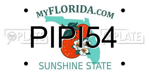 PIPI54 Florida License Plate