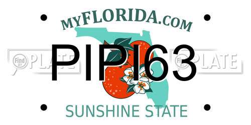 PIPI63 Florida License Plate