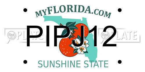 PIPJ12 Florida License Plate