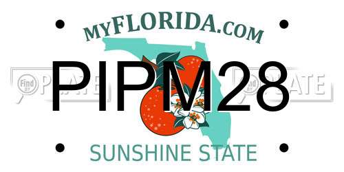 PIPM28 Florida License Plate