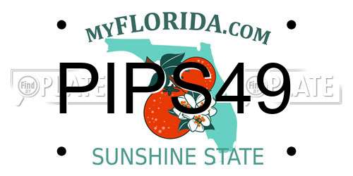 PIPS49 Florida License Plate