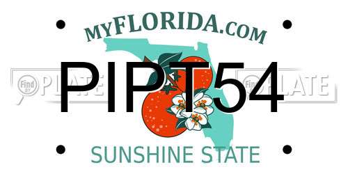 PIPT54 Florida License Plate