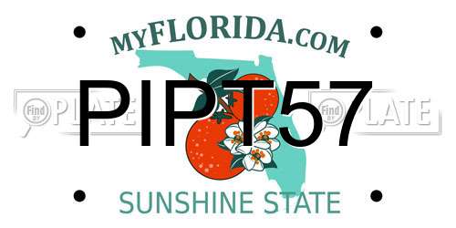 PIPT57 Florida License Plate