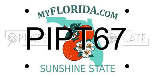 PIPT67 Florida License Plate