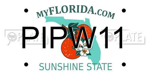 PIPW11 Florida License Plate