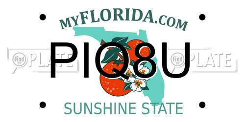 PIQ8U Florida License Plate