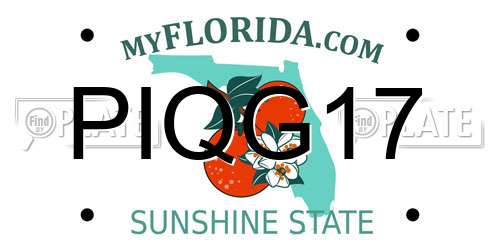 PIQG17 Florida License Plate
