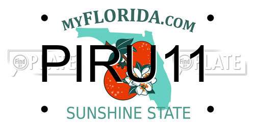 PIRU11 Florida License Plate