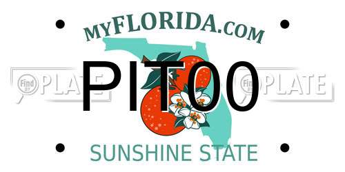 PIT00 Florida License Plate