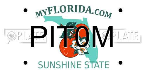PIT0M Florida License Plate