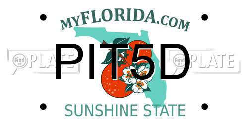 PIT5D Florida License Plate