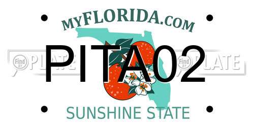 PITA02 Florida License Plate