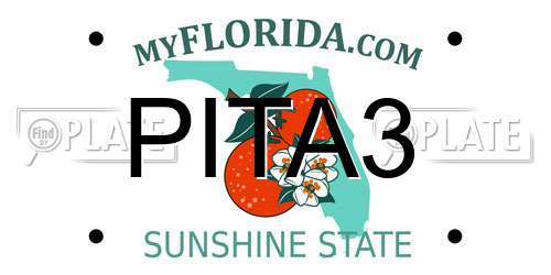PITA3 Florida License Plate