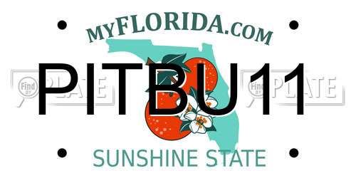 PITBU11 Florida License Plate