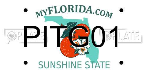 PITG01 Florida License Plate