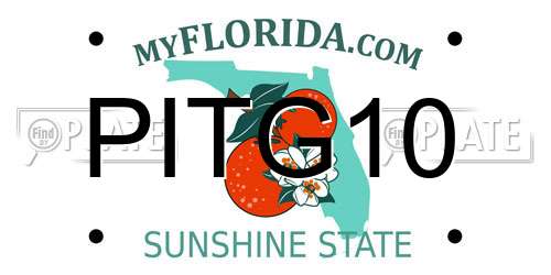 PITG10 Florida License Plate