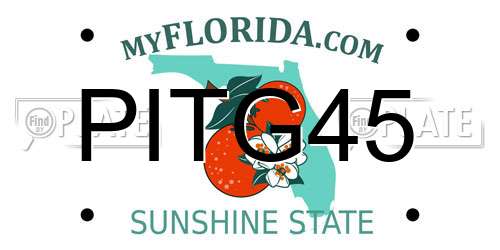 PITG45 Florida License Plate
