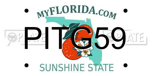 PITG59 Florida License Plate