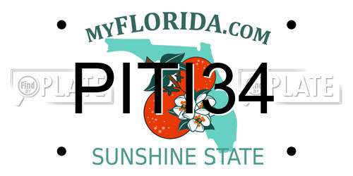 PITI34 Florida License Plate