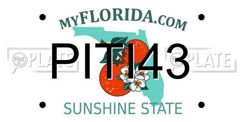 PITI43 Florida License Plate