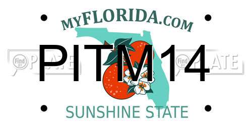 PITM14 Florida License Plate
