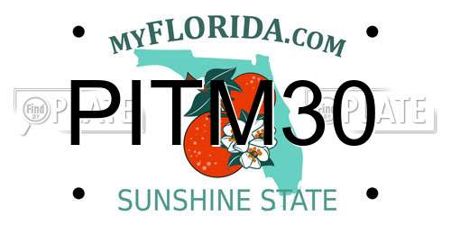 PITM30 Florida License Plate