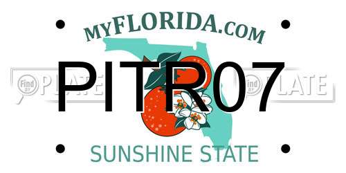 PITR07 Florida License Plate