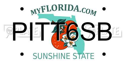 PITT6SB Florida License Plate