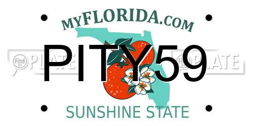 PITY59 Florida License Plate