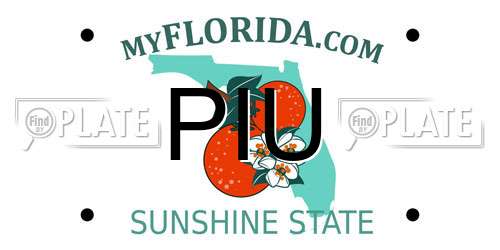 PIU Florida License Plate