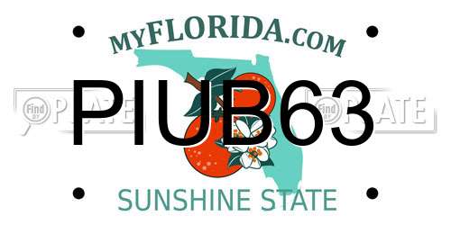 PIUB63 Florida License Plate