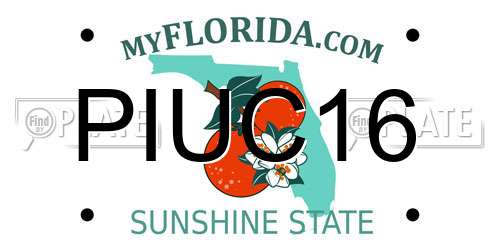 PIUC16 Florida License Plate