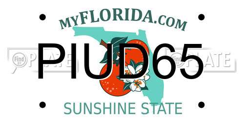 PIUD65 Florida License Plate