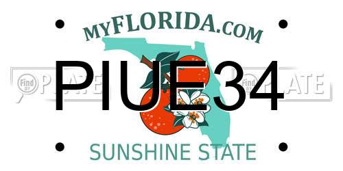 PIUE34 Florida License Plate