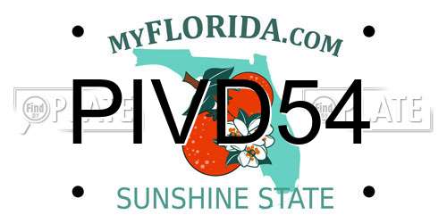 PIVD54 Florida License Plate