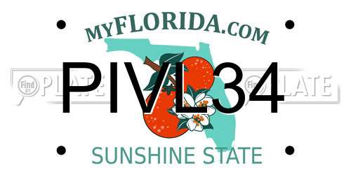 PIVL34 Florida License Plate