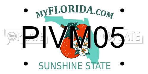 PIVM05 Florida License Plate