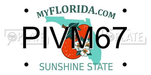 PIVM67 Florida License Plate