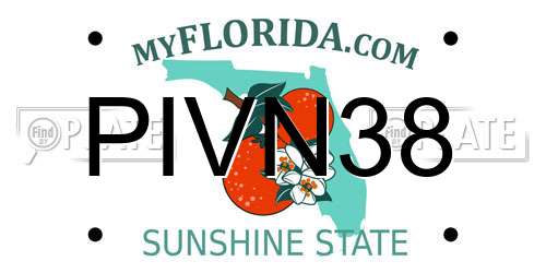 PIVN38 Florida License Plate