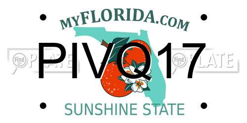PIVQ17 Florida License Plate