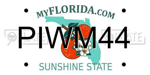 PIWM44 Florida License Plate