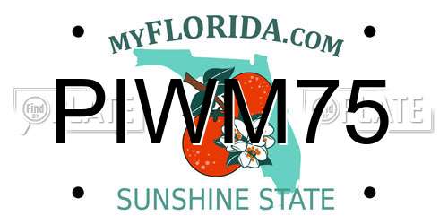 PIWM75 Florida License Plate