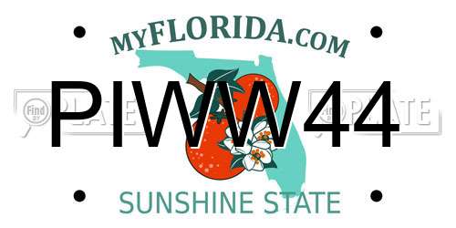 PIWW44 Florida License Plate